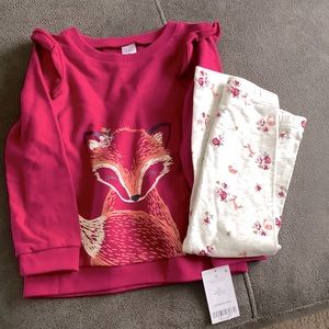 Fox Outfit 4t